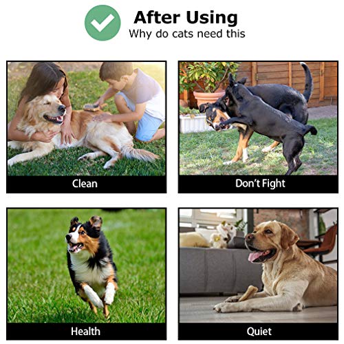 Dog Playpen 8 Panels 40 Inches Extra Large Indoor Outdoor with Door Z392846