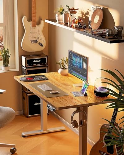 ErGear Height Adjustable Electric Standing Desk 48 x 24 Inches, Walnut S608
