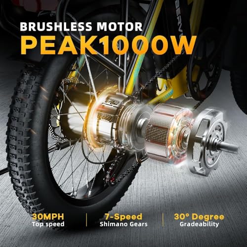 1000W Folding Electric Bike 48V Removable Battery 20" Fat Tire for Adults M922