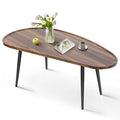 Oval Coffee Table for Small Space, Mango Shape Tabletop, Simple Modern Table with Metal Legs, Walnut 23.6" D x 47.2" W x 18.5" H