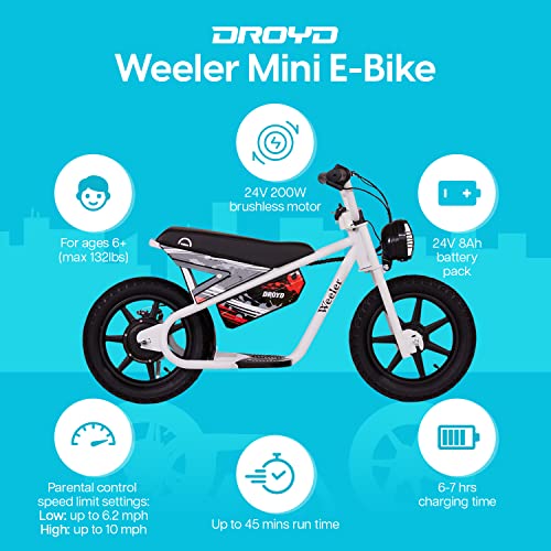 Weeler Electric Mini Bike for Kids Ages 6 & Up, 200W, 14in Tire Y9687