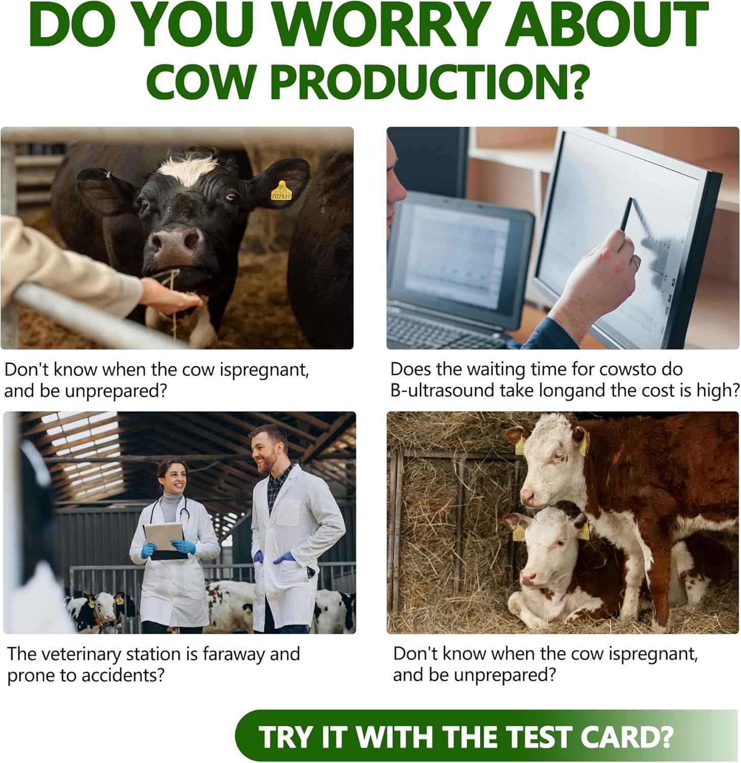 Quick Cow Pregnancy Test Kit for Cattle V144