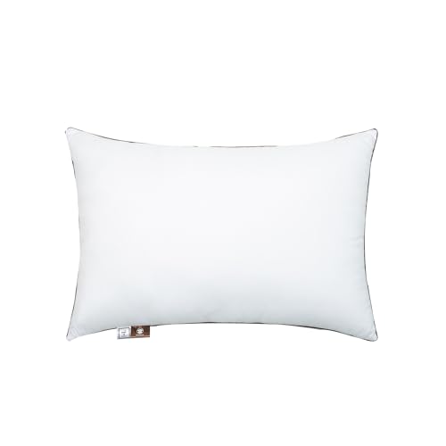 Queen Size Sleeping Pillow 2-Pack, Soft Down Alternative with Washable Cover R605311