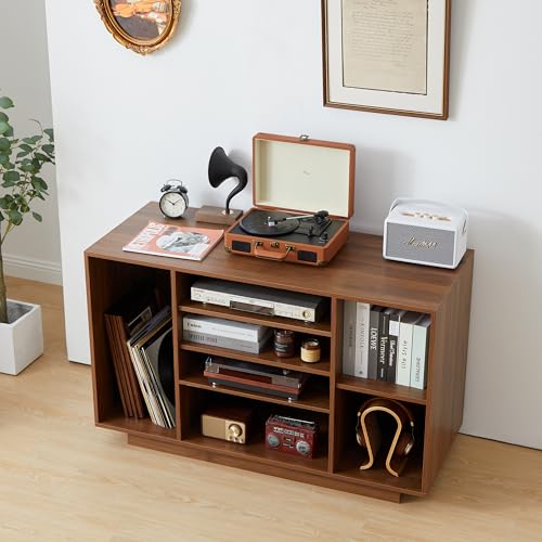Stereo Cabinet with 5-Tier Shelves for Media Storage, Black T6960
