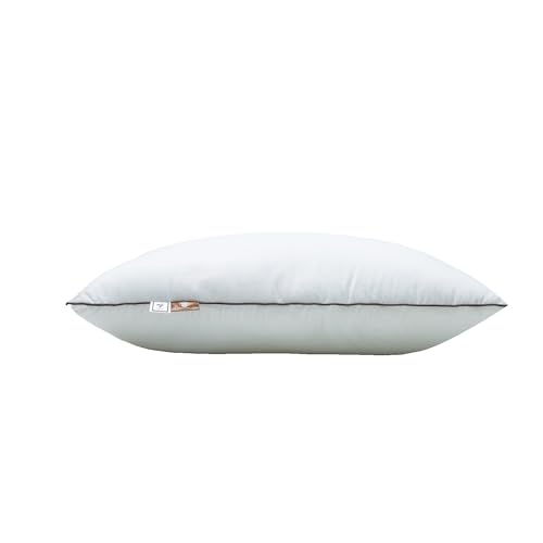 Queen Size Sleeping Pillow 2-Pack, Soft Down Alternative with Washable Cover R605311