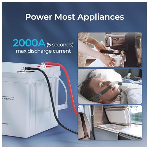 Renogy Deep Cycle AGM 12V 100Ah Battery for RV, Marine, Off-Grid D811836