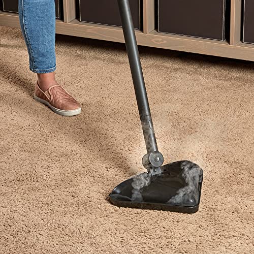 Wagner Spraytech 915e On-Demand Steam Cleaner & Wallpaper Removal, 18 Attachments D4490