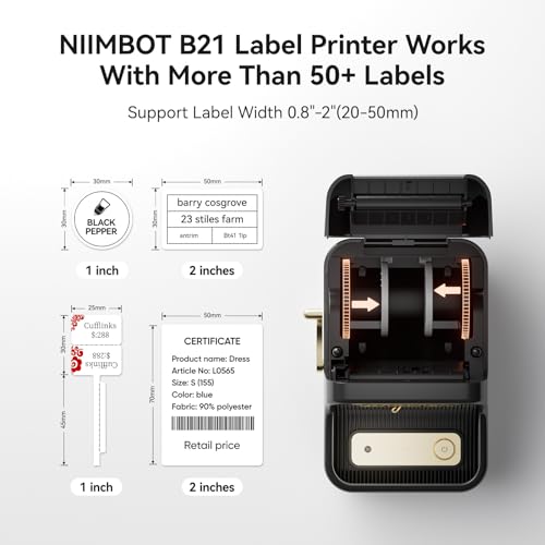 NIIMBOT B21 Label Maker, 2 Inch Portable Thermal Label Printer, White E219
