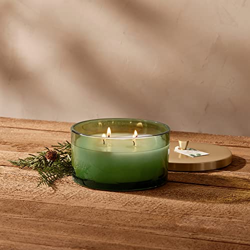Thymes Frasier Fir Scented Candle, 3-Wick, 17 oz W528684