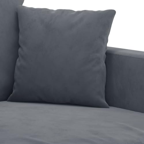 vidaXL 2-Piece Dark Gray Velvet Sofa Set with Padded Seats X913678