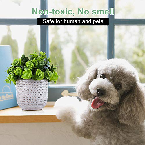 2 Pack Artificial Succulents in Ceramic Planters for Desk Decor V15398