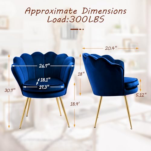 Velvet Accent Chairs Set of 2 with Golden Legs, Grey G515101