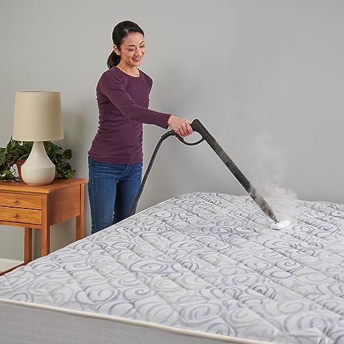 Wagner Spraytech 915e On-Demand Steam Cleaner & Wallpaper Removal, 18 Attachments D4490