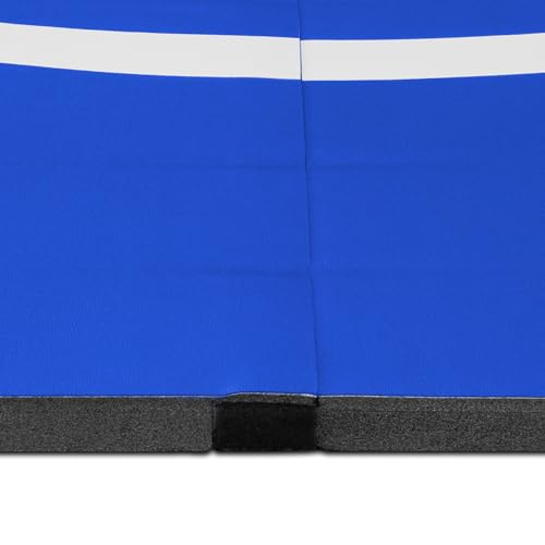 Meister FlexFloor Wrestling Mat 10ft x 10ft Roll-Up Training Mat V43380