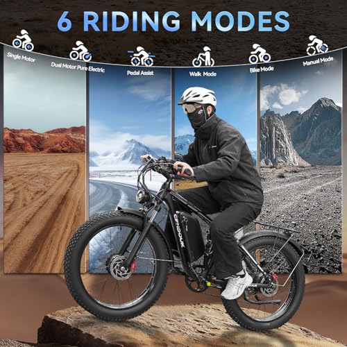 Dual Motor Electric Bike 3000W 23AH for Adults UL Certified L426