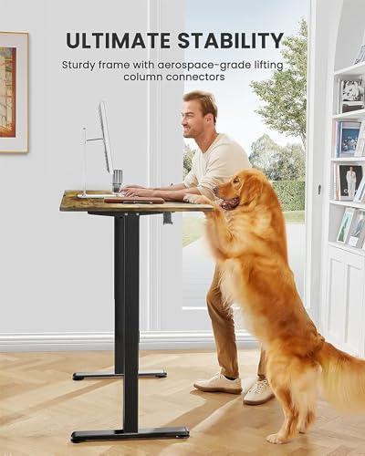 ErGear Height Adjustable Electric Standing Desk 48 x 24 Inches, Walnut S608