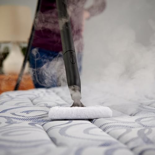 Wagner Spraytech 915e On-Demand Steam Cleaner & Wallpaper Removal, 18 Attachments D4490