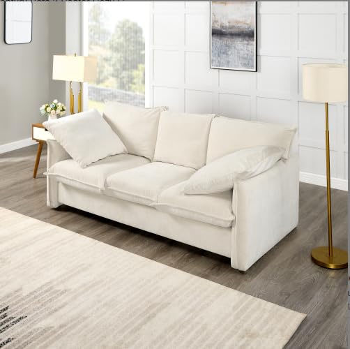 Velvet Loveseat Bed 3-in-1 Convertible Sleeper Sofa with Storage and Pillows N972