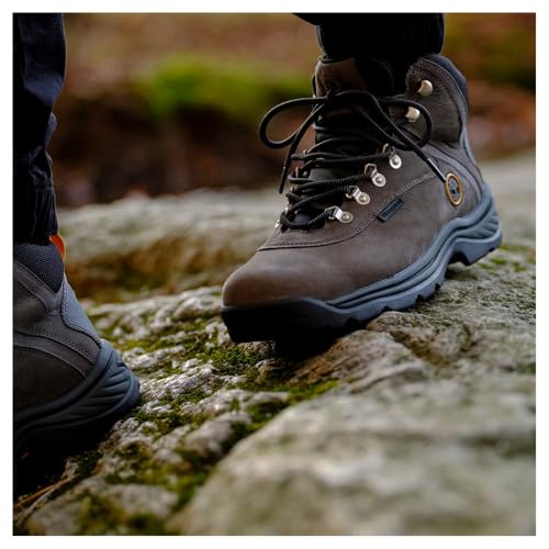 Timberland Men's White Ledge Mid Waterproof Hiking Boot E215