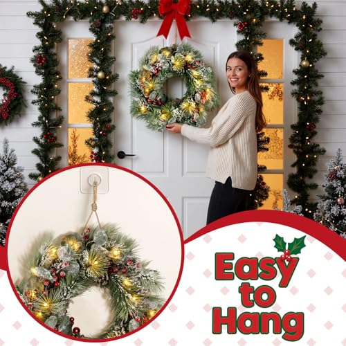 DomeStar 24 Inch Christmas Wreath with Lights, Outdoor Waterproof with Pine Cones C51545