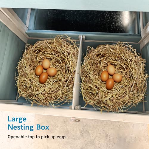 120'' Large Wooden Chicken Coop with Run for 3-5 Chickens F3405