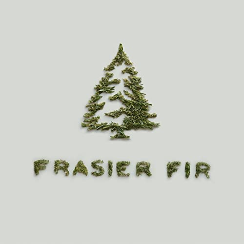 Thymes Frasier Fir Pine Needle Candle, 2 oz E44742