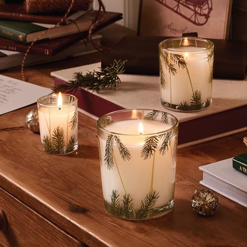 Thymes Frasier Fir Pine Needle Candle, 2 oz E44742