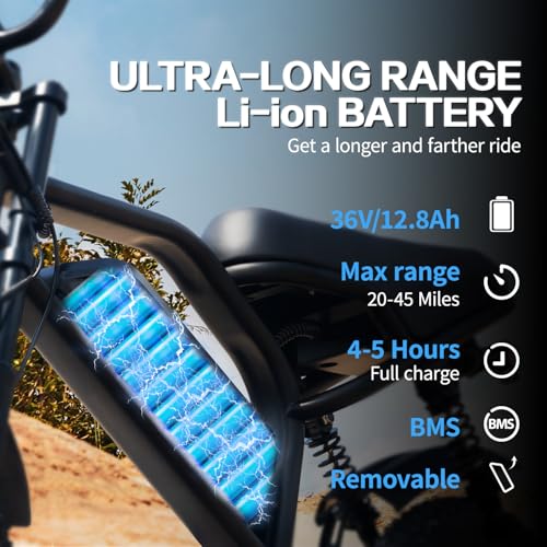 16'' Fat Tire Electric Bike for Adults, 500W, Removable Battery G58988