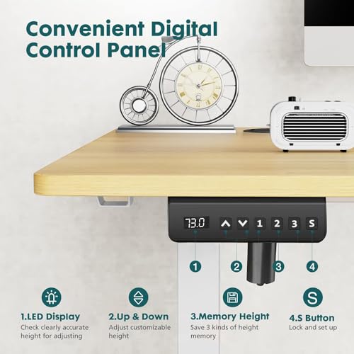 Adjustable Height Electric Standing Desk 55x24 Inch Black W5266