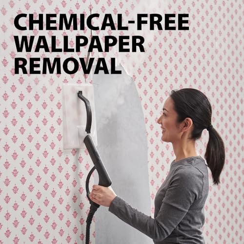 Wagner Spraytech 915e On-Demand Steam Cleaner & Wallpaper Removal, 18 Attachments D4490
