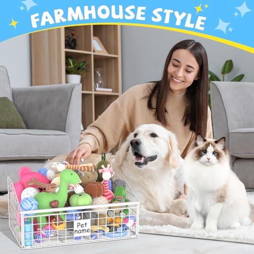 Dog Toy Storage Basket, Metal Toy Box for Dogs, Black D40281