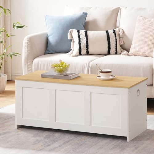 HOOBRO Storage Bench, 39.3" Retro Wooden Chest with Lift Top, White and Walnut C2921