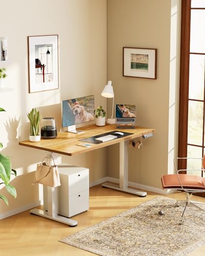 ErGear Height Adjustable Electric Standing Desk 48 x 24 Inches, Walnut S608