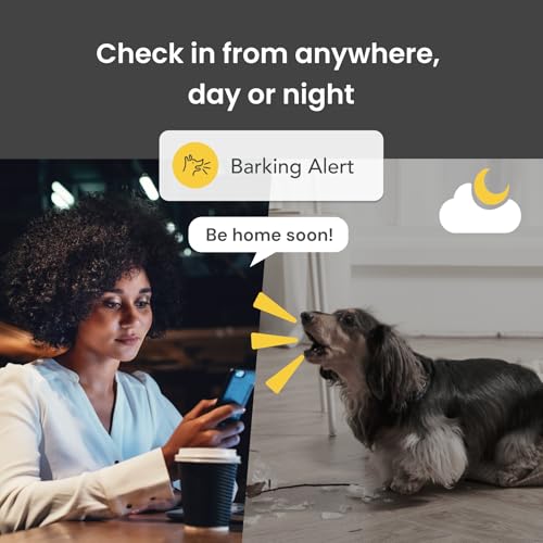 Furbo Mini Pet Camera with 2-Way Audio and Phone App N269659