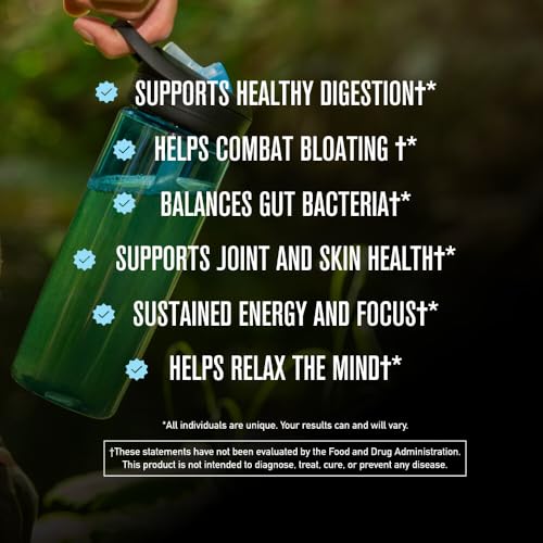 ROUNDHOUSE PROVISION Morning Kick Zero Sugar Greens Superfood Powder, Strawberry Lemonade, 30 Servings Z781093
