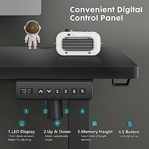 Adjustable Height Electric Standing Desk 55x24 Inch Black W5266