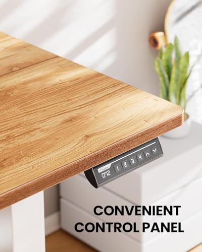 ErGear Height Adjustable Electric Standing Desk 48 x 24 Inches, Walnut S608