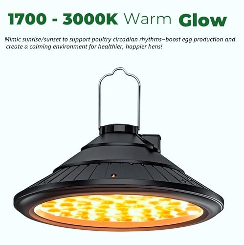 Solar Chicken Coop Light with Timer, Warm LED, IP66 Waterproof, 16.4ft Cord O57147