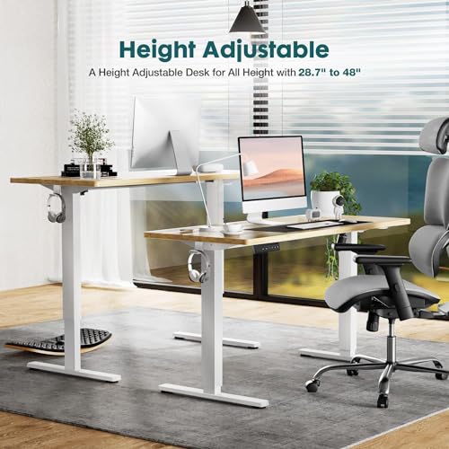 Adjustable Height Electric Standing Desk 55x24 Inch Black W5266