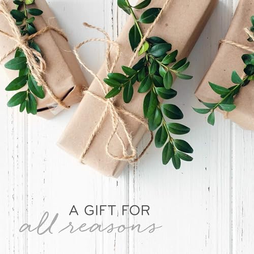Thymes Frasier Fir Candle – Frosted Plaid Jar – Scented Holiday Candle (6.5 oz) D710