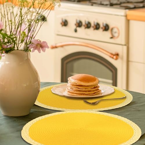 Round Braided Placemats Set of 8, 15 Inch Washable Heat Resistant, Black Thin Edge Y759351