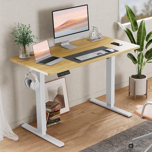 Adjustable Height Electric Standing Desk 55x24 Inch Black W5266