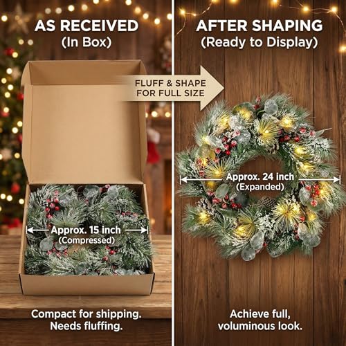 DomeStar 24 Inch Christmas Wreath with Lights, Outdoor Waterproof with Pine Cones C51545