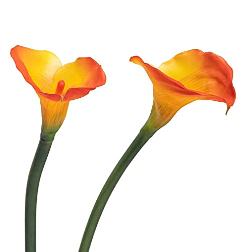 Artificial Flowers Calla Lily 25.6" Latex Bouquet 5 Pcs Yellow N107