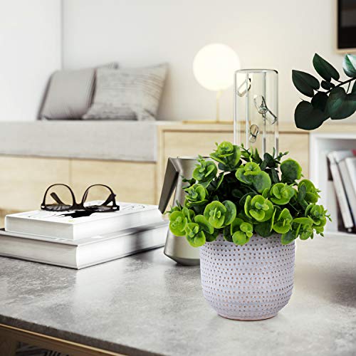 2 Pack Artificial Succulents in Ceramic Planters for Desk Decor V15398
