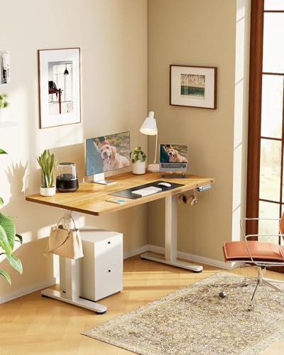 ErGear Height Adjustable Electric Standing Desk 48 x 24 Inches, Walnut S608