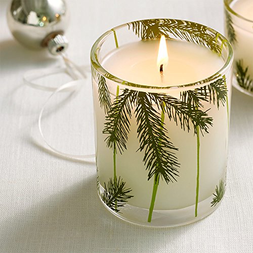 Thymes Frasier Fir Pine Needle Candle, 2 oz E44742