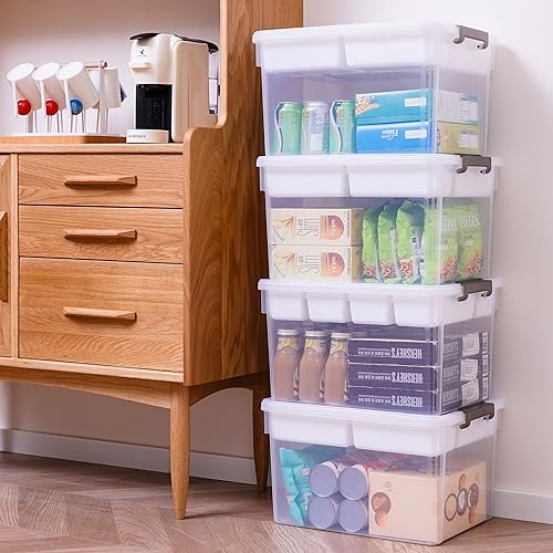 Citylife 17 QT Plastic Storage Box with Removable Tray A71310
