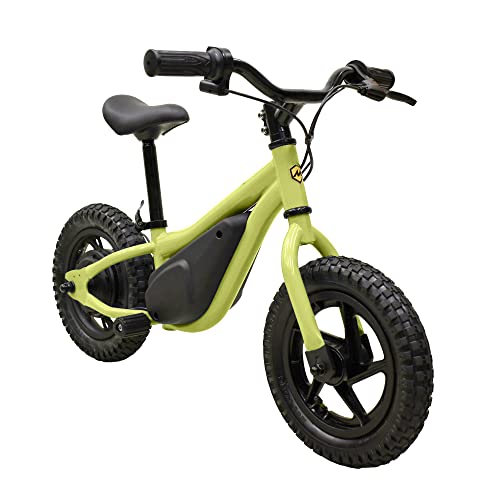 Massimo Motor Electric Bike for Kids 150W, Age 3+, 100lbs Capacity D8504