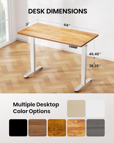 ErGear Height Adjustable Electric Standing Desk 48 x 24 Inches, Walnut S608